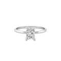 AR-0006